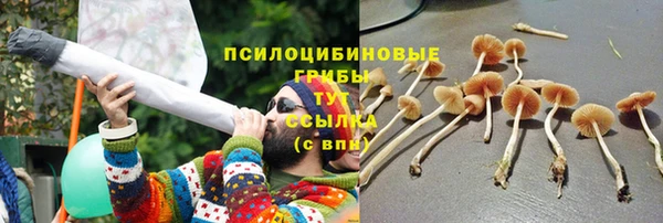 скорость Алзамай