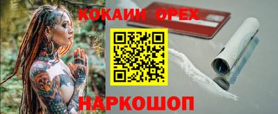 стафф Кингисепп