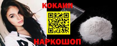 стафф Кингисепп