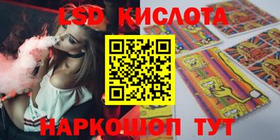 стафф Кингисепп