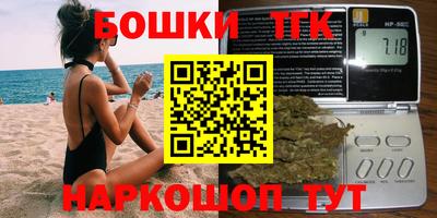 стафф Кингисепп
