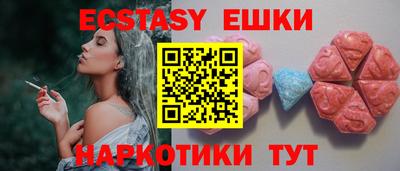 стафф Кингисепп