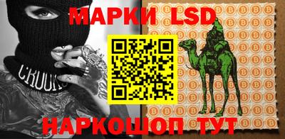 стафф Кингисепп