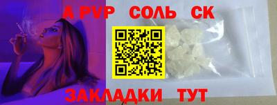 стафф Кингисепп
