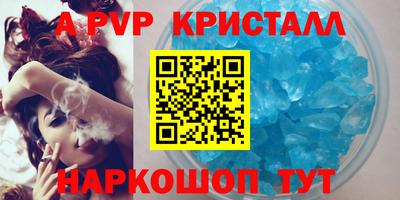 стафф Кингисепп