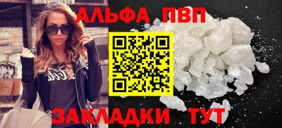 стафф Кингисепп